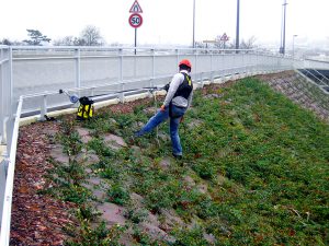 citta-di-nancy-altirail-vertic
