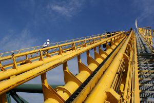 parco-divertimenti-walibi-vertic